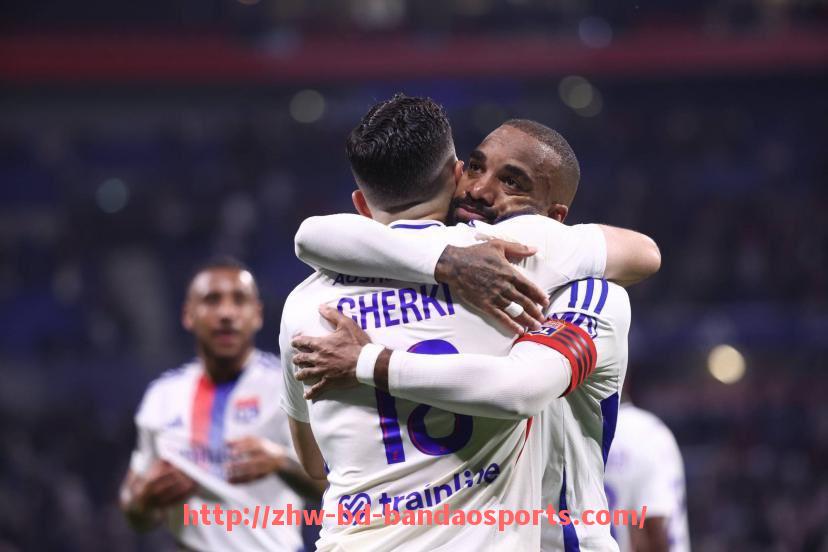 半岛体育-欧洲杯中德甲球队表现与整体战术风格分析