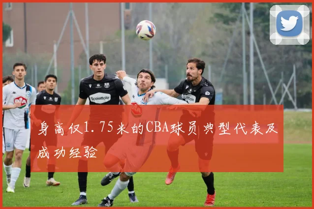 身高仅1.75米的CBA球员典型代表及成功经验