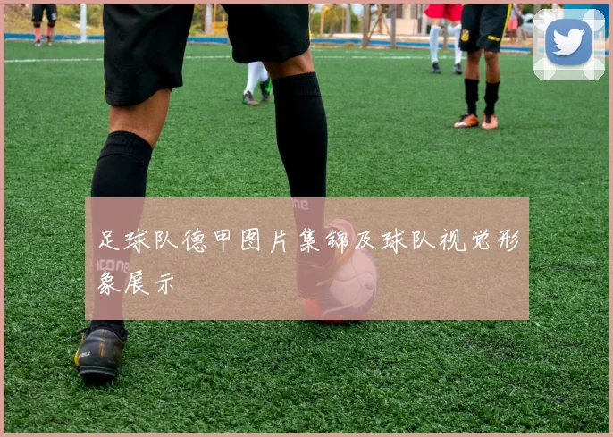 足球队德甲图片集锦及球队视觉形象展示