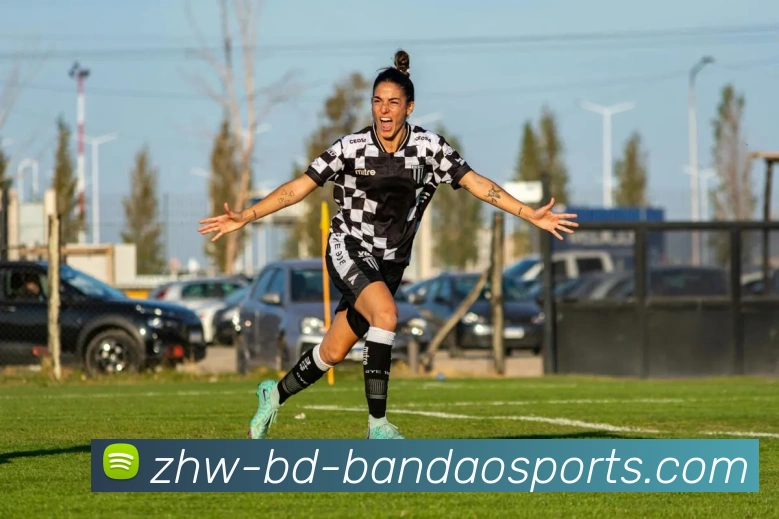 半岛体育全站App